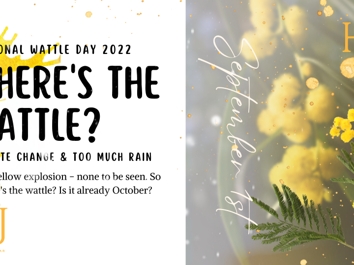 Wheres-The-Wattle-Banner-1.png