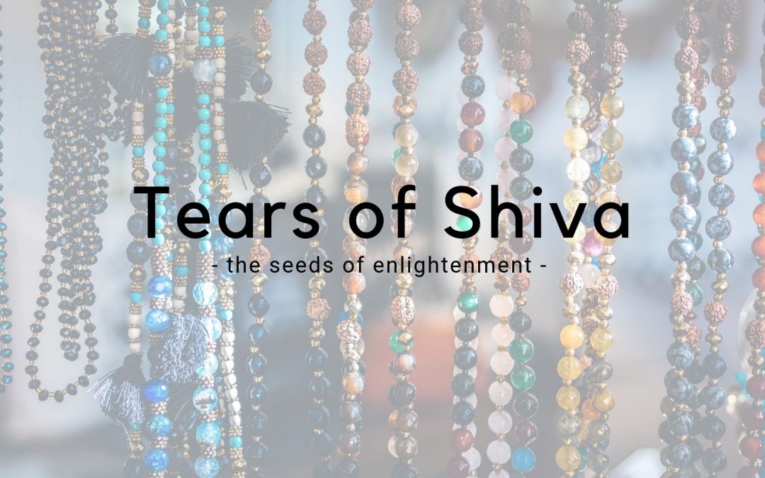 The Tears of Shiva – Rudraksha Meditation Beads