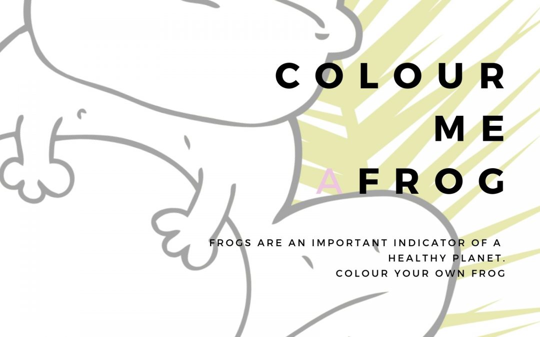 Colour Me A Frog – Activity Poster